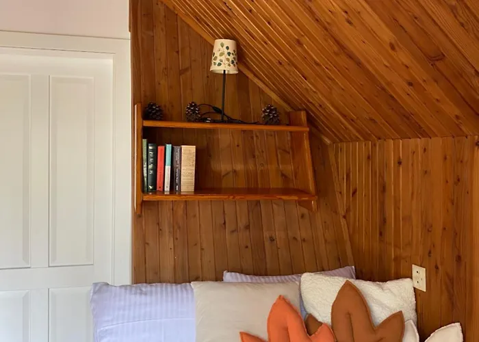 Сasa de vacaciones żuromino *